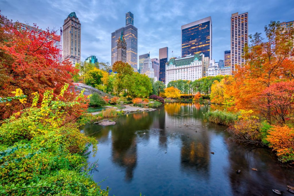 View of Central Park and its pond in autumn, with luxury buildings and red trees.